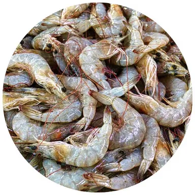 Prawns & Crab
